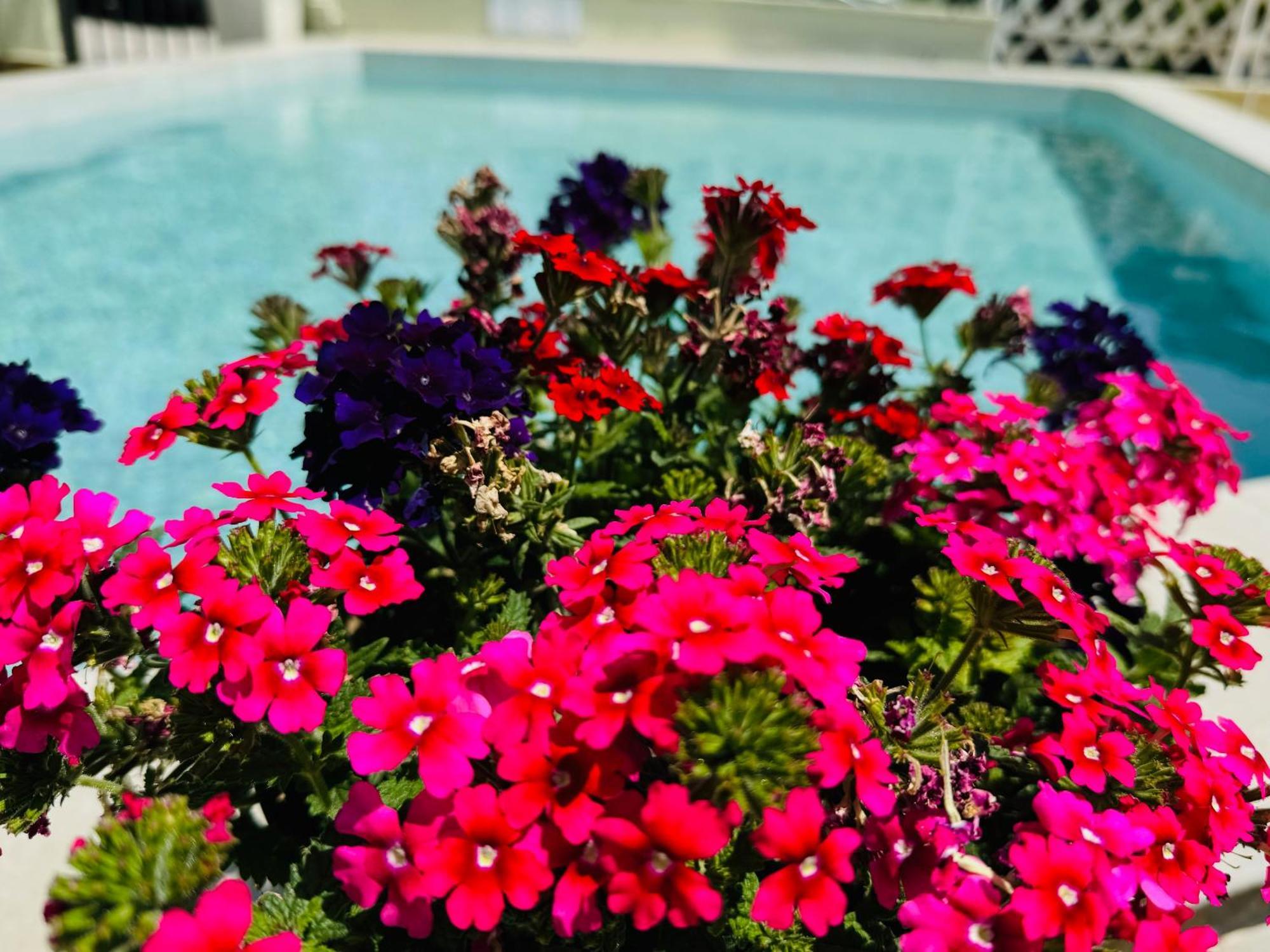 Hotel Amfora Aziz Konstantin ve Elena Dış mekan fotoğraf