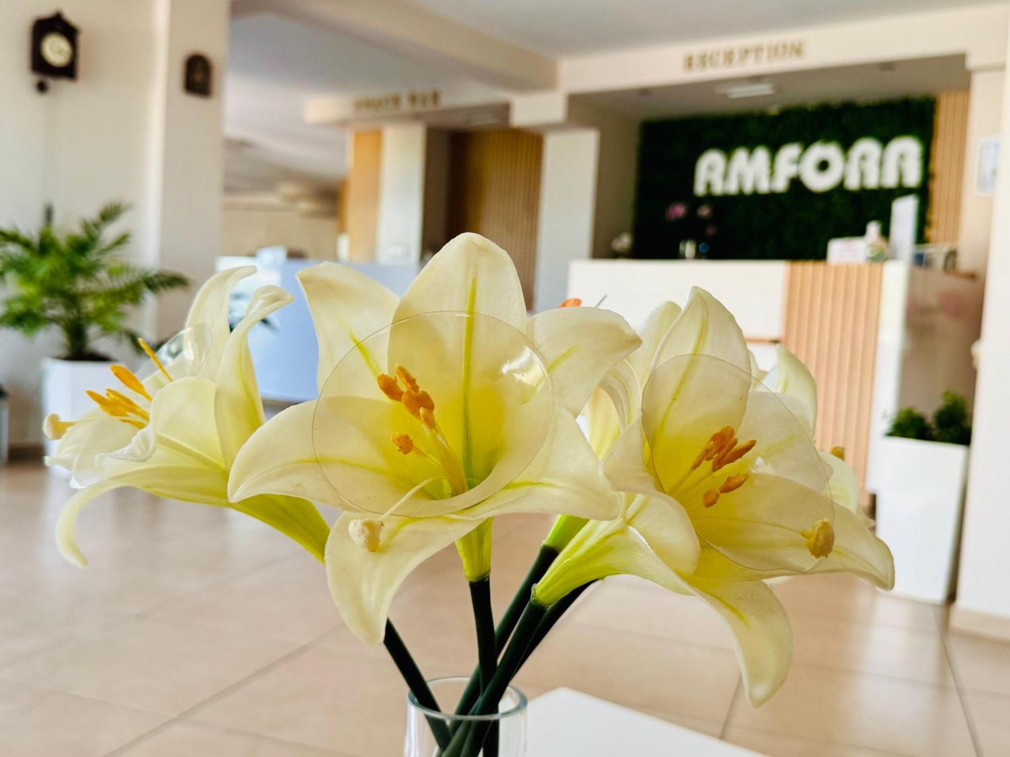 Hotel Amfora Aziz Konstantin ve Elena Dış mekan fotoğraf